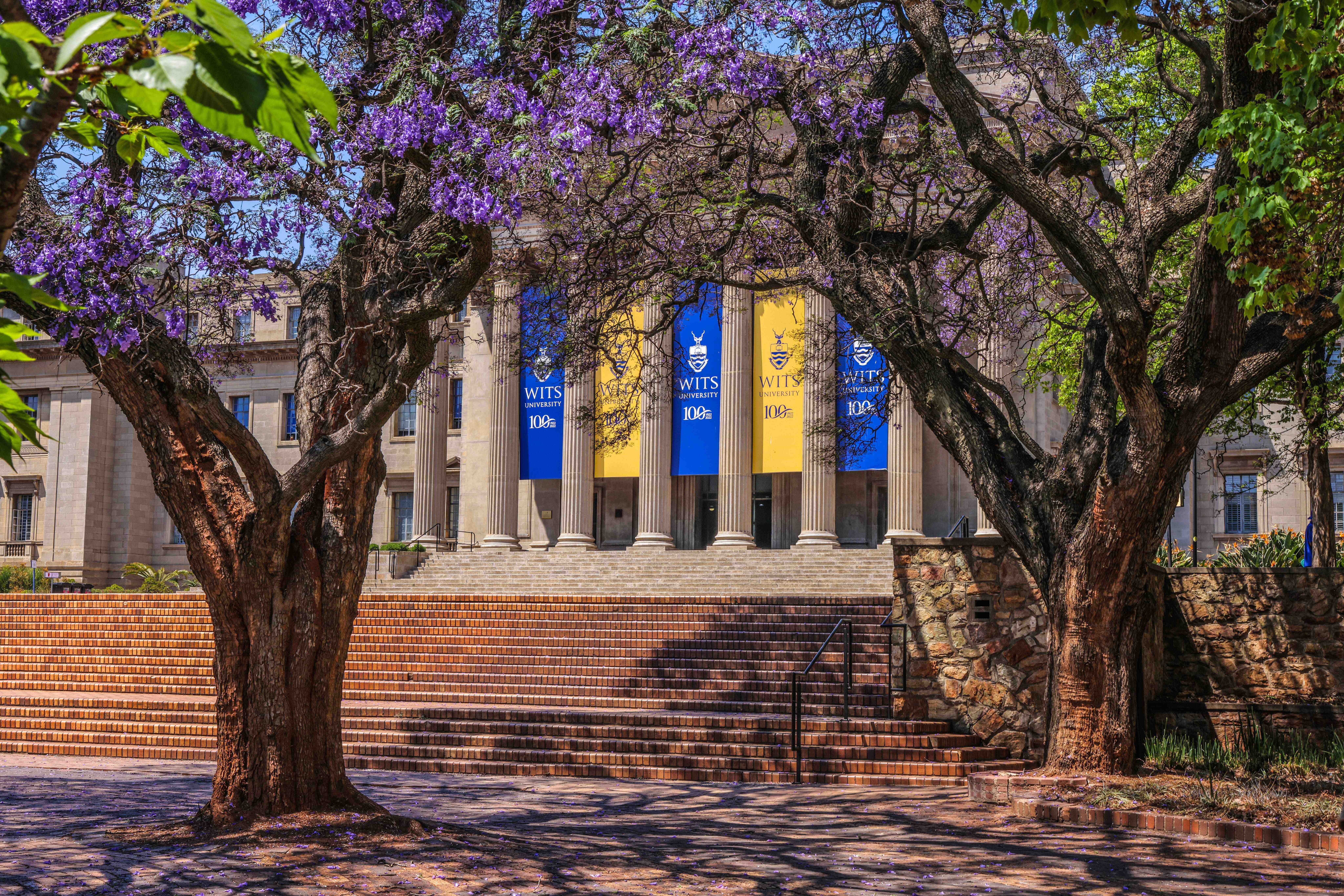 Wits University