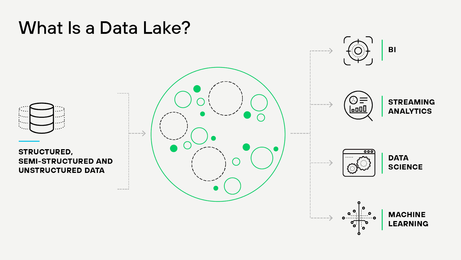 Understanding the nature and use of data lakes