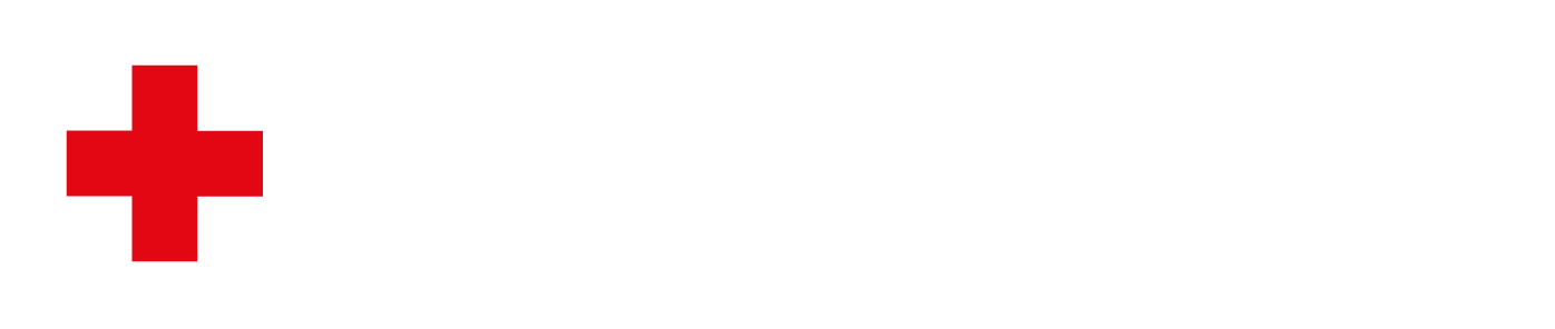 Palo Alto Networks Logo